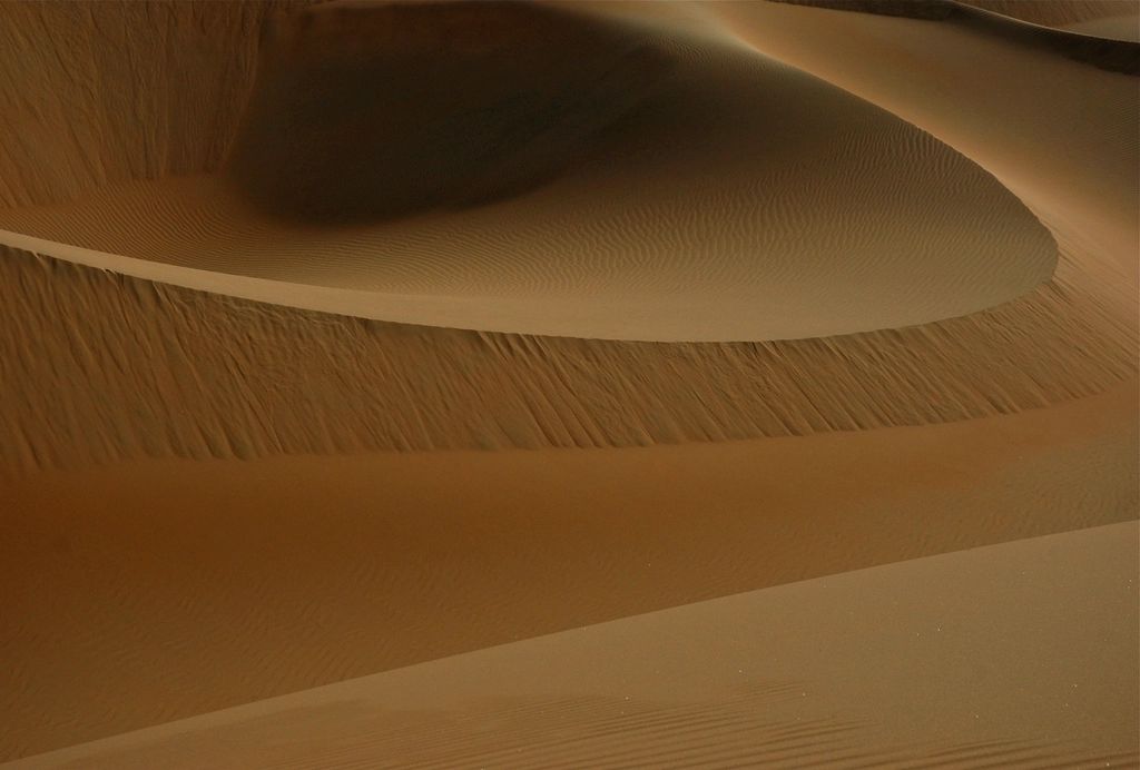 The curve of a desert dune in late light